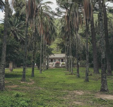 Hacienda Pimán: Riqueza histórica, humana y natural