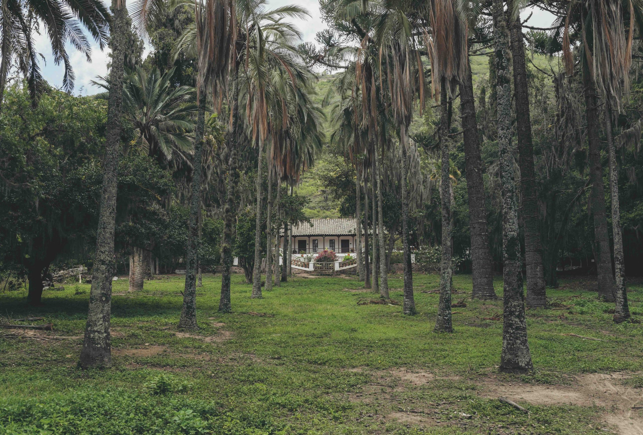 Hacienda Pimán: Riqueza histórica, humana y natural